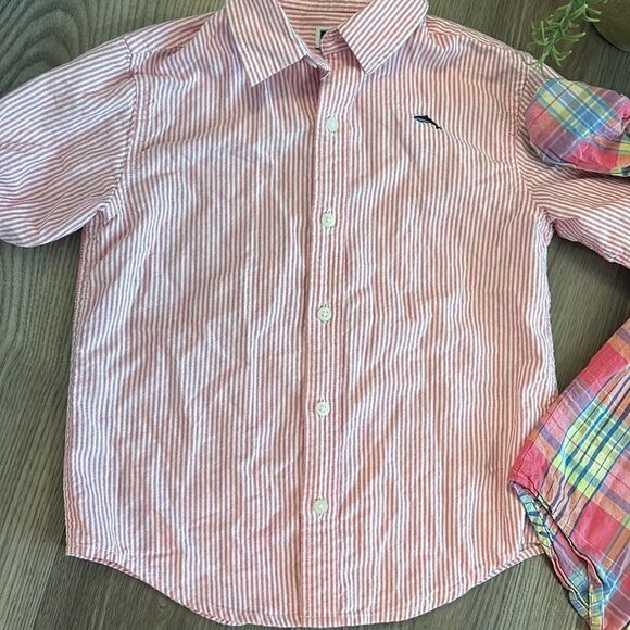 ((3 PIECE)) JANIE AND JACK 100% COTTON BUTTON DOWN SHIRT BUNDLE SIZE 5 - Picture 4 of 7